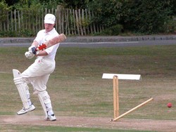 Mike Lloyd and the fallen stump